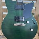 Zelená elektrická kytara s výraznou strukturou dřeva a dvěma humbuckery. Na těle je černý plecháč a dva bílé ovládací knoflíky. Kovový most má nápis…
