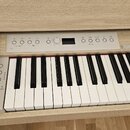 Digitální piano v dřevěném korpusu světlé barvy. Na ovládacím panelu jsou umístěna tlačítka a malý displej, v levém dolním rohu panelu je nápis "Sust…