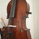 Hnědý smyčcový nástroj, pravděpodobně violoncello, s lakovaným povrchem. Nástroj je umístěn ve stojanu a má černé hmatníky a strunový mechanismus. Na…