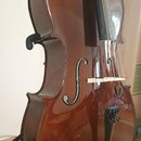 Detailní pohled na hnědý lakovaný smyčcový nástroj, pravděpodobně violoncello. Na těle jsou vidět dvě f-otvory a bílý kobylík, přes který vedou čtyři…