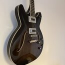 Tmavně hnědá polodublá elektrická kytara s bílým lemováním korpusu a hmatníkem s pražci. Nástroj má dva humbuckery, jednu tónovou a dvě hlasitostní p…
