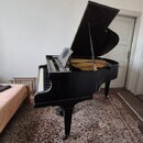 Černý křídlový klavír s otevřeným víkem, umístěný na vzorném koberci. Nástroj má lesklý povrch a viditelný vnitřní rám s tónovou deskou. Na fotce nej…