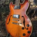 Polodupatá elektrická kytara s semi-akustickým korpusem v červeně-žlutém sunburst provedení. Nástroj má dva humbuckery, čtyři ovládací knofíky a dvě…