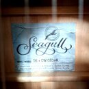 Fotografie znázorňuje štítek uvnitř akustické kytary. Na modrobílém pozadí je černé logo Seagull s vyobrazením ptáka v kruhu. Pod ním je uveden text…