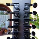 Detail hlavy kytary v matně černé barvě s dvanácti ladicími kolíky. Na každém z černých plastových knoflíků je bílý nápis Tagima. Povrch nástroje vyk…