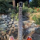 Elektrická kytara s trupem v oranžovo-hnědém sunburst provedení a hnedým hmatníkem. Na hlavě je bílý nápis TGN a pod ním logo s číslem 21. Kytara má…