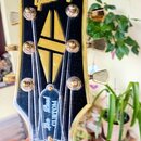 Hlava elektrické kytary v černé barvě se zlatým lemováním. V horní části je nápis Gibson a v dolní části nápis Les Paul CUSTOM. Uprostřed hlavy je um…
