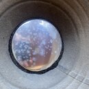 Fotografie zachycuje detail středu reproduktoru. Uprostřed je kulatý, lesklý kovový prvek s viditelnými skvrnami a oxidací povrchu. Kolem kovového st…