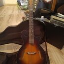Kytara typu mandolina s tmavě hnědým sunburst povrchem a f-otvory. Na hlavě je viditelné logo ve tvaru ptačího profilu, ladící kolíčky jsou bílá. Nás…