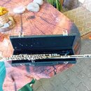 Stříbrná flétna položená v otevřeném černém tvrdém kufru. Na těle nástroje není vidět žádný značka ani model. Povrch flétny je lesklý, kufřík má dvě…