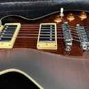 Detail elektrické kytary s hnědým průsvitným lakem a viditnou strukturou dřeva. Nástroj má dva snímače typu humbucker s krémovými rámečky, chromovaný…