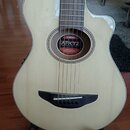 Světlé akustické kytary s cutawayem a černým hmatníkem. U rozetového otvoru je nalepený štítek s nápisy YAMAHA, APXT2, Tempest Acoustic-Electric Acou…