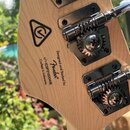 Záběr na zadní stranu hlavy kytary z přírodního světlého dřeva s chromovanými ladicími mechanismy. Na dřevě je černý trojúhelníkový symbol a nápisy D…