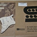 Kartonové obalové krabice s nápisy a obrázky. Na levé části je fotografie hudebníka s textem DAVE MURRAY LOADED PICKGUARD a nápisem IRON MAIDEN. Vpra…