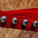 Gibson Firebird Standard 2014 /120th anniversary
