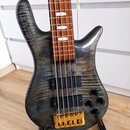Elektrická basová kytara s šedou vyvrtkovanou prodlouženou deskou a hnedým hmatníkem. Nástroj má dva černý humbuckery, tři černé oválné knofíky a zla…