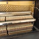 Fotografie zachycuje vnitřní mechanismus klavírního nástroje. Je vidět zlatý kovový rám s řadou ladicích kol, hrací struny a dřevěné klavírní kladívk…