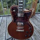 Hnědá elektrická kytara s tmavě červeným želvovinovým pickguardem a krémovým lemováním. Nástroj má dva humbuckery, Tune-o-matic kobylku a čtyři ovlád…