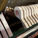Detailní pohled na vnitřní mechanismus klavíru, konkrétně na řadu kladiveček s plstěnými hlavami a kovové struny. Na dřevěné části jednoho z kladiveč…