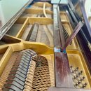Detailní pohled do otevřeného křídla nebo pianina. Je vidět zlatavý litinový rám, řada kovových strun a dřevěné části mechanismu. Povrchy vykazují pr…
