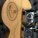 Detail zadní strany hlavy kytary z přírodního dřeva. Na povrchu je oválná zlatá nálepka s nápisem SPECIAL EDITION, logem Fender a vyznačenou hvězdicí…