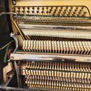 Fotografie zachycuje vnitřní mechanismus klavírního nástroje. Jsou vidět kovové struny, ladicí kolíky a řady dřevěných klavírních mechanik s plstěným…