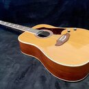 Akustická kytara s cutawayem, světlým topem a tmavě hnědými boky a zadní stranou. Nástroj má tmavý hmatník, červeně vzorovaný pickguard a dva ovládac…