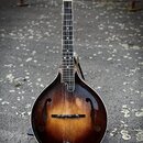 Mandolina s hruškovitým korpusem v tmavě hnědém sunburst provedení. Na hlavě je bílý nápis „12“. Nástroj stojí na černém stojanu. Povrch laku vykazuj…