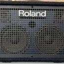 Černý kombozesilovač s mřížkou z kovových čtverců a texturovaným povrchem skříně. Uprostřed horní části je bílý nápis Roland. Za mřížkou jsou vidět d…