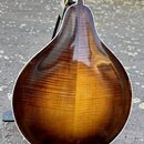 Zadní strana mandoliny s hruškovitým korpusem. Nástroj má lakovaný povrch v odstínu sunburst s výraznou kresbou dřeva. Podél okraje korpusu je bílý l…