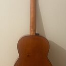Gitara cremona luby