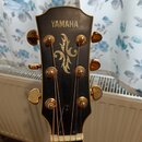 Fotografie zachycuje hlavu akustické kytary v černé barvě se zlatým lemováním. V horní části je bílý nápis YAMAHA a uprostřed se nachází zlatý orname…