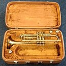 Zlatý trumpet v hnědém tvrdém kufru s plišovou výstlkou. Nástroj je v lesklém povrchu, bez viditelných značek či nápisů. Povrch nástroje i vnitřek ku…