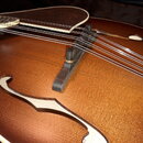 Detailní pohled na horní desku hnědé archtop kytary s f-otvory. Na desce je umístěn tmavý kobylka a černý hmatník s viditelnými pražci. Povrch nástro…