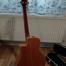 Zadní pohled na akustickou kytaru s vyřezem v těle, provedenou v hnědém dřevě. Nástroj má zlaté ladičky a tmavý hmatník. V pozadí je vidět otevřený č…
