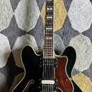 Černá polodublá elektrická kytara s bílým lemováním a hnědým hmatníkem. Na hlavě je bílý nápis Epiphone a dekorativní ornament. Tělo má dva humbucker…