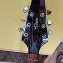Černá hlava elektrické kytary s chromovanými ladičkami. Uprostřed je bílý nápis „Werner GUITARS“. Povrch lakovaného dřeva vykazuje drobné oděrky a zn…