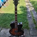 Polodupatá elektrická kytara s tmavě hnědým sunburst povrchem a bílým bindingem. Na hlavě je bílý nápis Ibanez a logo v kruhu. Nástroj má dva snímače…