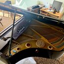 Černý křídlový klavír s otevřeným víkem. Na zlaté kovové rámu je vidět kulaté reliéfní logo s nápisem "Steinway & Sons". Povrch laku je glossy, vnitř…