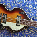 Elektrická basová kytara s polodupatým korpusem v barevném přechodu od tmavě hnědé k žluté. Nástroj má bílý perleťový pickguard a dva snímače s černý…