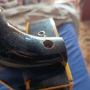 Detail krku a spoje s tělem černého strunového nástroje. Lak na krku vykazuje výrazné popraskání (tzv. checking). V horní části krku je vidět vyvrtan…