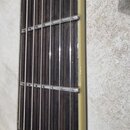 Detail hmatníku strunového nástroje s tmavým dřevěným povrchem a světlým bokem krku. Na hmatníku jsou vidět kovové pražce a struny. Povrch dřeva vyka…