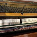 Fotografie zachycuje vnitřní mechanismus pianina. Je vidět řada bílých kladivek, kovové struny a horní kovová rámová konstrukce s řadou ladicích kol.…