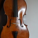 Fotografie zachycuje přední část smyčcového nástroje, pravděpodobně violoncella, s hnědým lakovaným povrchem. Nástroj má černé hmatníky a černý kobyl…
