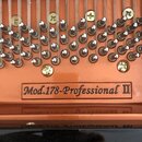 Detail vnitřku klavírního nástroje s viditelnými strunami a kovovými kolíky v oranžovém rámu. Na dřevěném prvku je nápis Mod.178-Professional II. Pov…