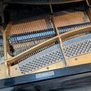 Detailní pohled do vnitřku křídlového klavíru. Je vidět kovový rám zlatavé barvy, struny a ladicí kolíky. V pravé části rámu je vyraženo číslo 4133.…