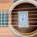 Detail znamení v otvoru akustické kytary z dřeva s viditnou masivní strukturou. Uvnitř je nalepený štítek s logem Taylor Guitars a nápisem GSmini. Do…
