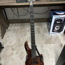 Elektrická basová kytara s tmavým dřevěným povrchem s výraznou kresbou zrna. Na hlavě hmatníku je viditelné logo "Schecter". Nástroj je umístěn ve st…