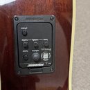Detail na ovládací panel akustické kytary s tmavě hnědým dřevěným povrchem. Černý plastový panel nese nápisy Presys, FISHMAN a označení ovladačů: pha…