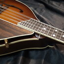 Detailní pohled na hnědou archtop kytaru s tmavým dřevěným hmatníkem a bílými tečkovými značkami. Nástroj má dřevěný plechtr zaštitník s výraznou mas…